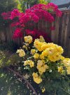 IMG_2201.jpeg
