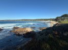 IMG_2951.jpeg