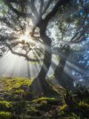 1781921127329.jpeg