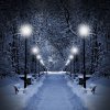 10769499-winter-park-in-the-evening-covered-with-snow-with-a-row-of-lamps.jpg