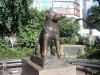 hachiko-statue-japan-14661184-720-540.jpg
