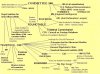 sc0126bb07.jpg