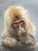 middle finger.jpg