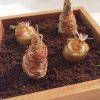 onthenew-andre-restaurant-singapore-octaphilosophy-fine-dining-starter.jpg