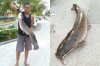 catfish.jpg