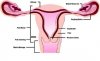 The Loop..jpg