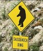 urban_legends_bigfoot_240a_102408.jpg