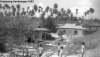 kembangan.jpg