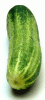 Cucumber-UPR-low-res.gif