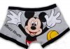 mickey%20mouse%20L_01.jpg