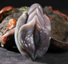 Abalone.png