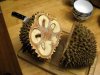 Durian.jpg
