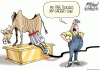 SacredCowCartoon.gif