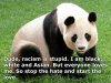 wpid-racism-is-stupid1.jpg