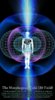 Human Torus Energy Field - morphogenic feld.jpg