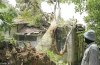 20120918_125610_nst_duriantree.jpg 20120918_125610_nst_duriantree.jpg