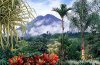 happycostarica.jpg