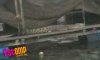 crocodile_spotted_at_abandoned_fish_farm_near-thumbnail.jpg
