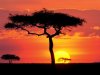 sunset1.jpg