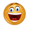 1554725367528.gif