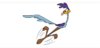 Screenshot_2019-06-10-00-01-08.jpeg