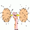 80x80_ballbounce.gif