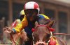 20121126_151641_reuters_jockey.jpg 20121126_151641_reuters_jockey.jpg