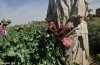 20121209_180043_20121209-opium.jpg 20121209_180043_20121209-opium.jpg