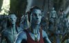 navi-meetingr-high-quality-avatar-movie-desktop-background-wallpapers.jpg