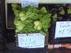 DSC02140.JPG
