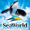 SeaWorldlogo.jpg