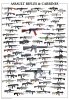 Assault%20Rifles%20&%20Carbines.jpg