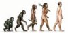 consequences-of-evolution-631.jpg