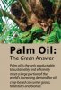 palm-oil-j403x590.jpg
