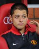 o_manchester_united_javier_chicharito_hernandez-2806536.jpg