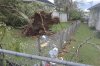 tree-tornado-storm5-1200.jpg