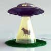 abductionlamp_cow_ill_500x5.jpg