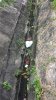 20130612_140111.jpg