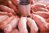 A9BF28A7-4AC3-4439-B557-43BCF911D43D.png