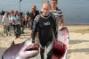 Putin-the-great-white-shark-killer.jpg