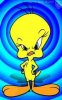 mad-tweety-21054369906.jpeg