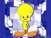 tweety.jpg