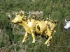 220px-Vemork-rjukan-cow-bridge-decoration.jpg