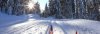 langrenn_2_31f0dc1604e21c9680f50018a6cc56d42.jpg