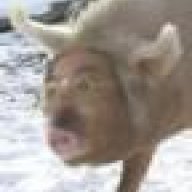 Bob Sim