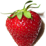 strawberry.love