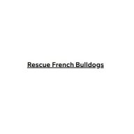 rescuefrenchbulldogs