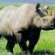Rhinoceros