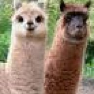 Llama