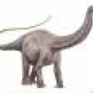 Apatosaurus